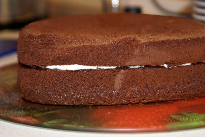 Шоколадный французский торт 