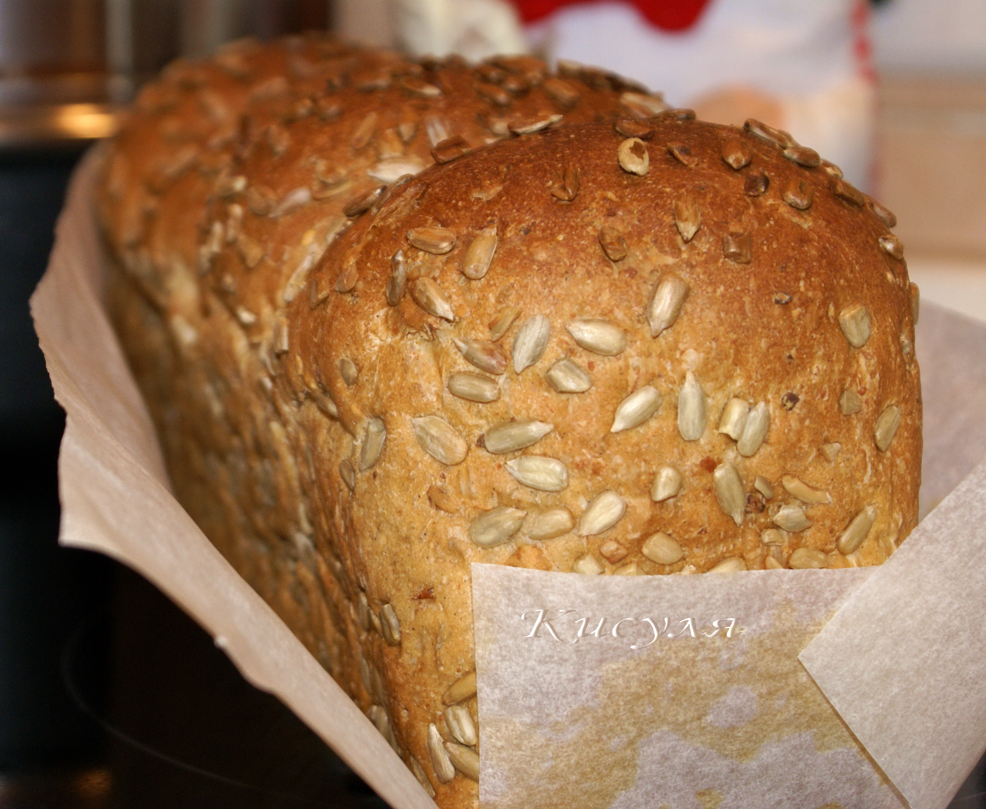 Хлеб на газированной воде. Хлеб с зернами спорт. Даниловский хлеб. Зерновой хлеб рецепт в домашних условиях. Хлеб в духовке без масла